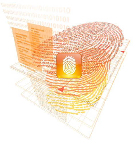indentity-service-image.jpg